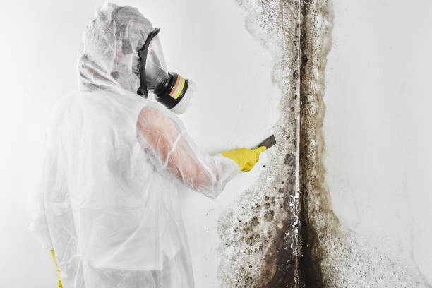Best Best Mold Removal Companies  in Rancho Murieta, CA