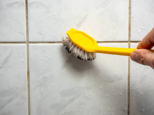 Professional Mold Removal in Rancho Murieta, CA