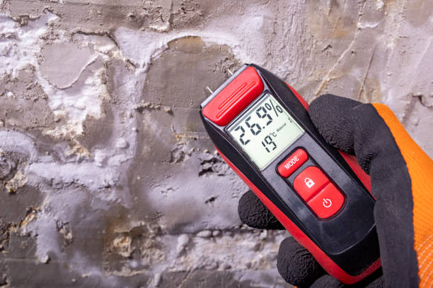 Best Best Mold Removal Companies  in Rancho Murieta, CA