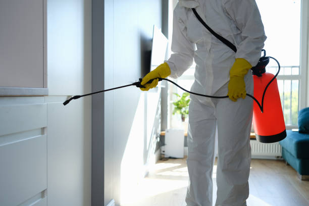 Best Commercial Mold Removal  in Rancho Murieta, CA