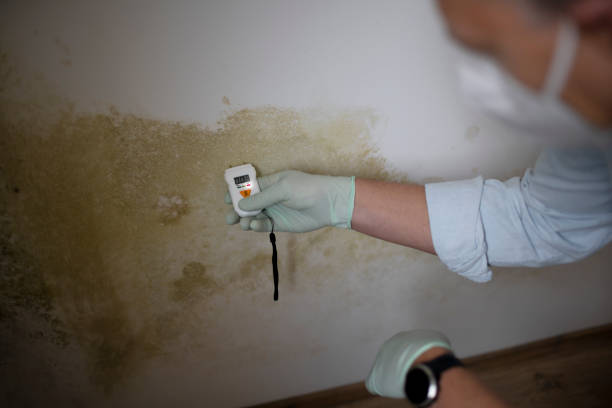 Best Affordable Mold Removal  in Rancho Murieta, CA