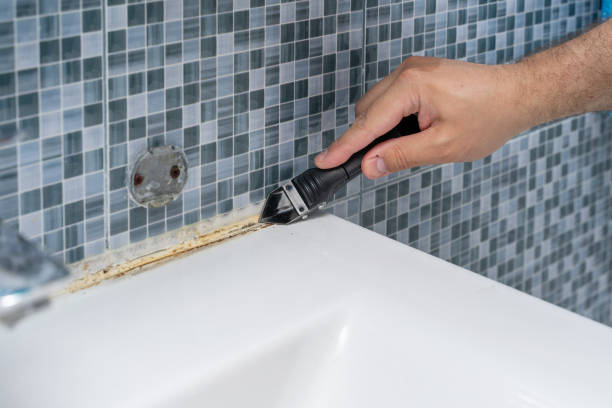 Best Home Mold Removal  in Rancho Murieta, CA