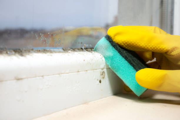 Best Mold Remediation  in Rancho Murieta, CA