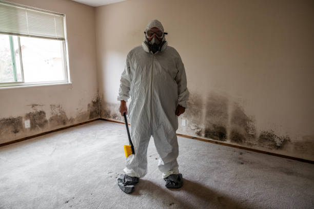 Best Local Mold Removal Service  in Rancho Murieta, CA