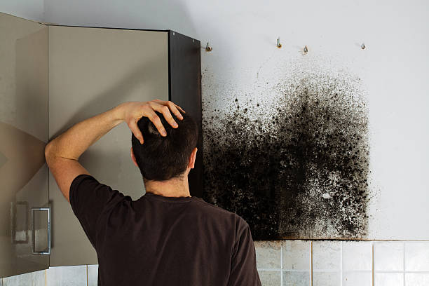 Best Office Mold Removal Services  in Rancho Murieta, CA